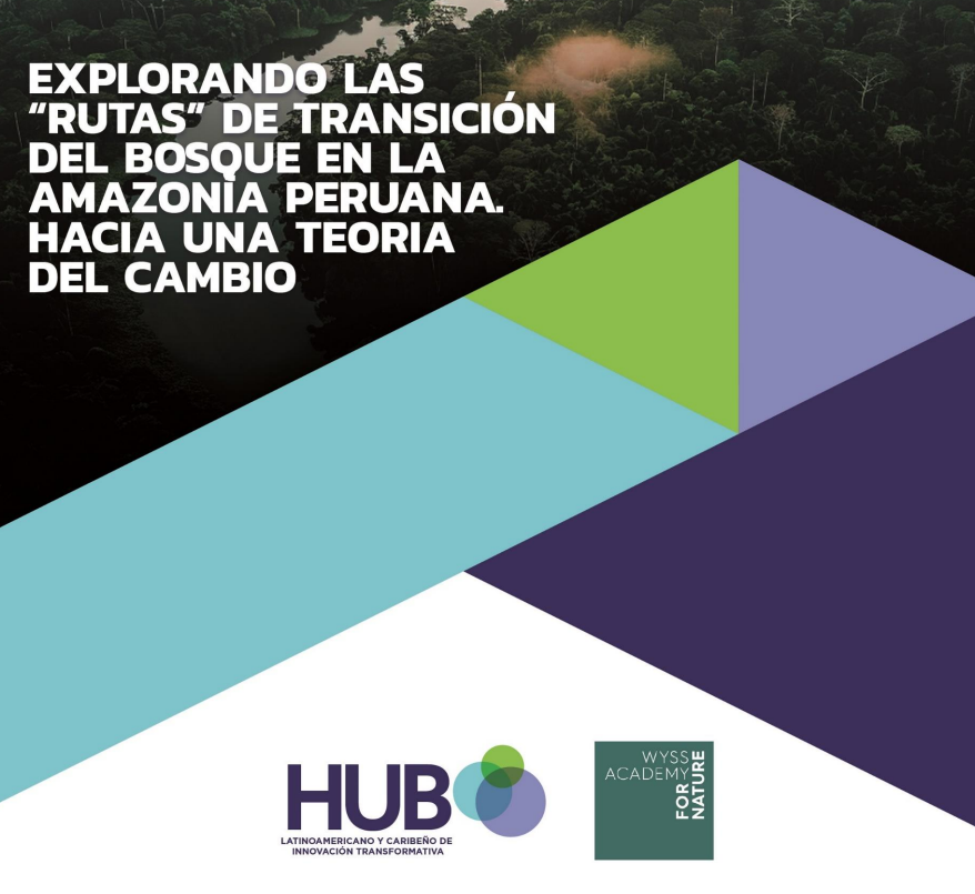 Explorando las “rutas” de transición del bosque en la Amazonía peruana hacia una teoría del cambio, 🎯se centra en el concepto de innovación transformativa y transiciones sostenibles como alternativa de largo plazo al desafío de la deforestación➡️t.ly/bOjvh  #COP16