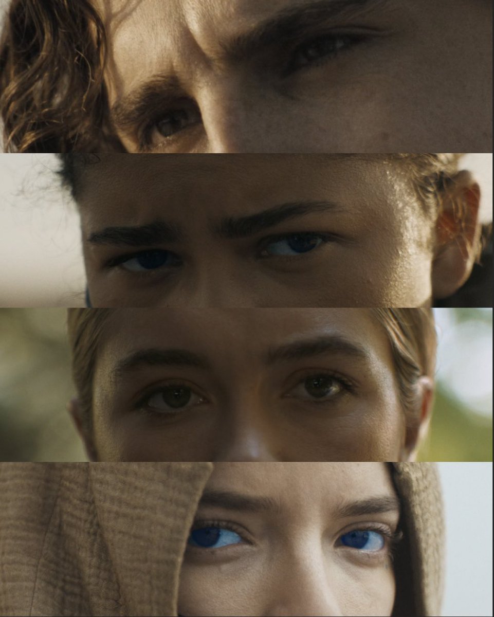 The stars of Dune: Messiah🪐