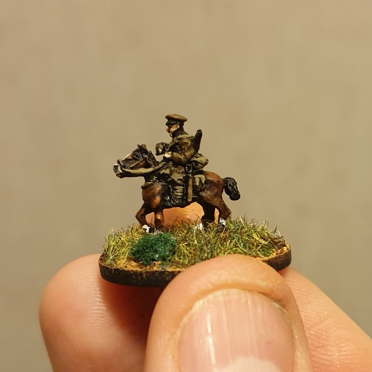 Maraviglia tweet media