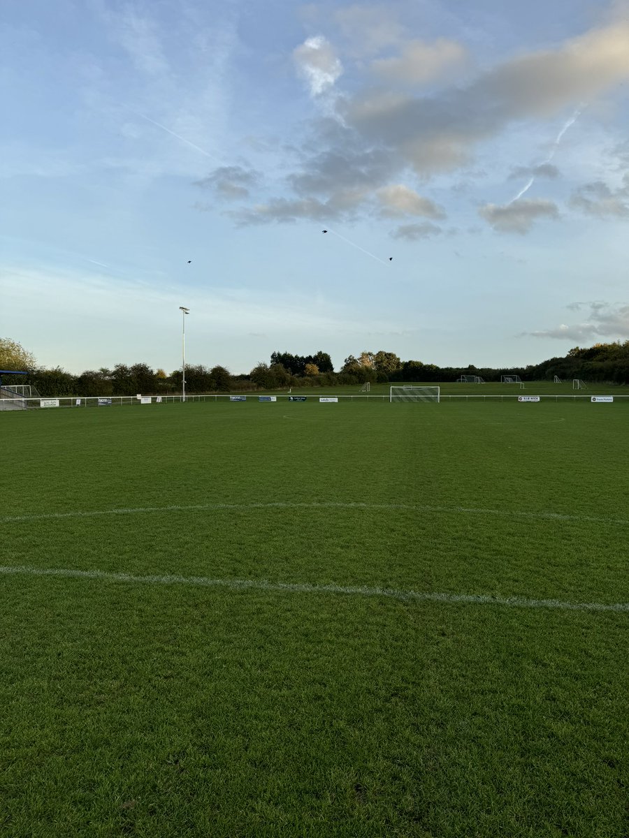 George Starling tweet media