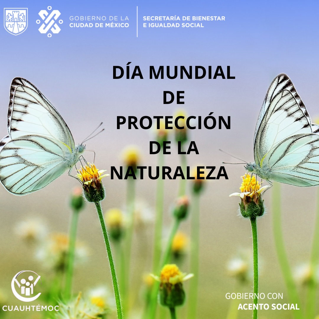 Hoy 18 de Octubre celebramos el #DíaMundialdeProteccióndelaNaturaleza esto  con el objetivo de crear conciencia en la población sobre la necesidad de cuidar el planeta 
"Cuidemos nuestro planeta"🌎 🙌

#GobiernoConAcentoSocial