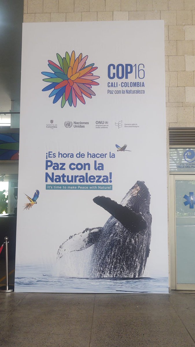 Andrew J Wight 🇦🇺🇨🇴✍🏽🕺🏻💃🏽 tweet media