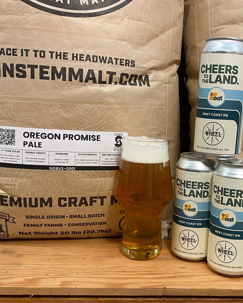 Mainstem Malt tweet media