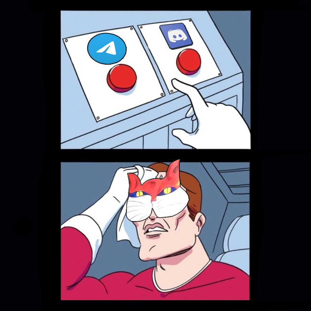 MEow... Telegram or Discord? Where should I start my world domination plan? 😼