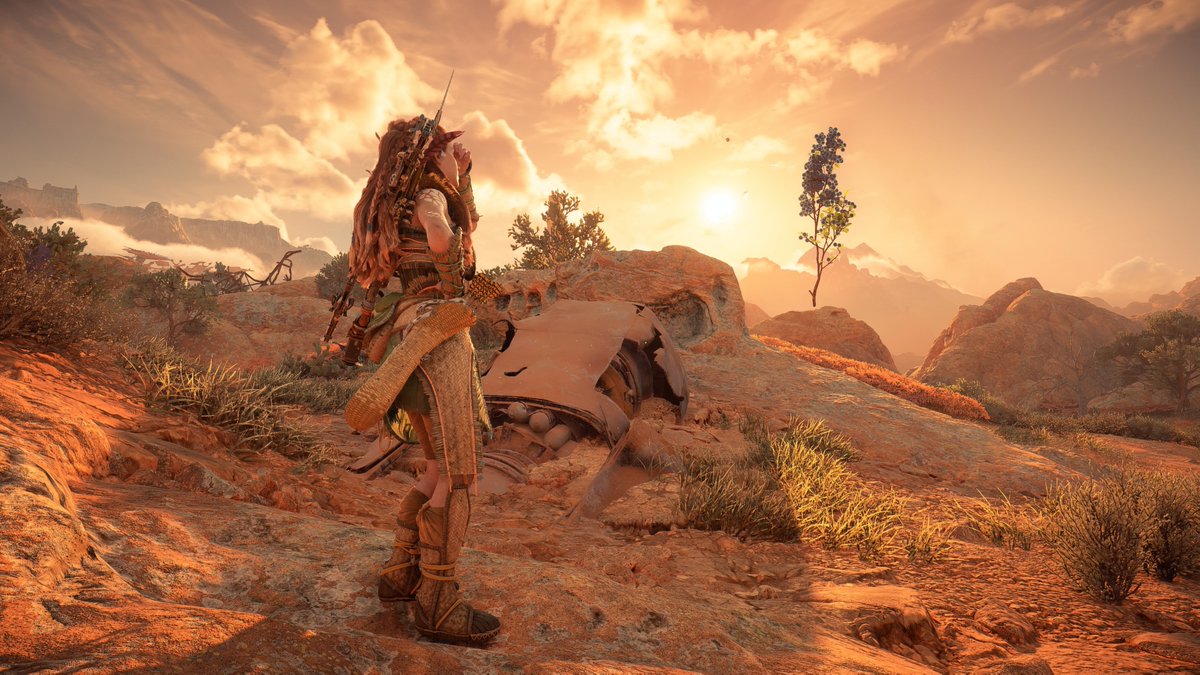 Coronal_Shadow's tweet image. Antigravi-tree 🌿⬆️🤔😆
#HorizonForbiddenWest #VirtualPhotography 🎮📸