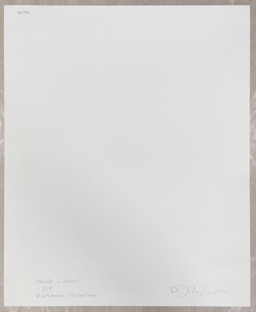 PDNB Gallery tweet media