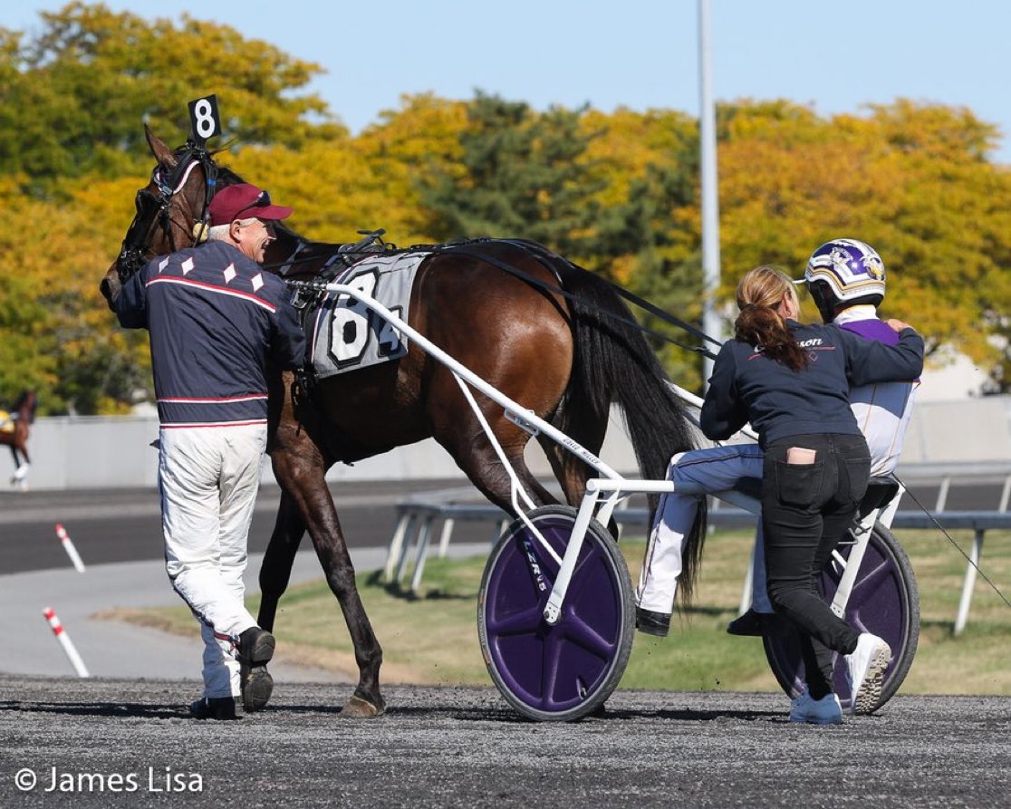 Härlig vinst med Sound Judgement idag Breeders Crown Elim på Meadowlands 👌🇺🇸