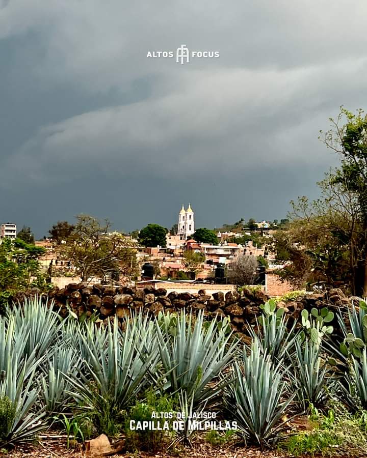 altosfocus's tweet photo. ¡Saludos desde los rumbos de Capilla de Milpillas! 🌽🚗

Esos Altos de Jalisco...
¡Qué bonitos!

@altosfocus @Mich_fridman

#capillademilpillas #tepatitlan #AltosdeJalisco ]#AltosFocus https://t.co/6KY7Ky22YB