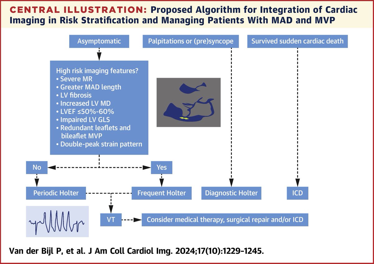 JACC Journals (@jaccjournals) on Twitter photo Don’t get MAD. Instead, check out this #JACCIMG state-of-the-art multimodality #cvImaging review on mitral annular disjunction (MAD), including arrhythmia risk stratification. bit.ly/3BK59I0
#cvVHD <a href="/sarano_maurice/">Maurice Sarano</a> <a href="/ThorEdvardsen/">Thor Edvardsen</a> <a href="/EssayaghBen/">Benjamin Essayagh, MD, FESC</a> Don’t get MAD. Instead, check out this #JACCIMG state-of-the-art multimodality #cvImaging review on mitral annular disjunction (MAD), including arrhythmia risk stratification. bit.ly/3BK59I0
#cvVHD <a href="/sarano_maurice/">Maurice Sarano</a> <a href="/ThorEdvardsen/">Thor Edvardsen</a> <a href="/EssayaghBen/">Benjamin Essayagh, MD, FESC</a>