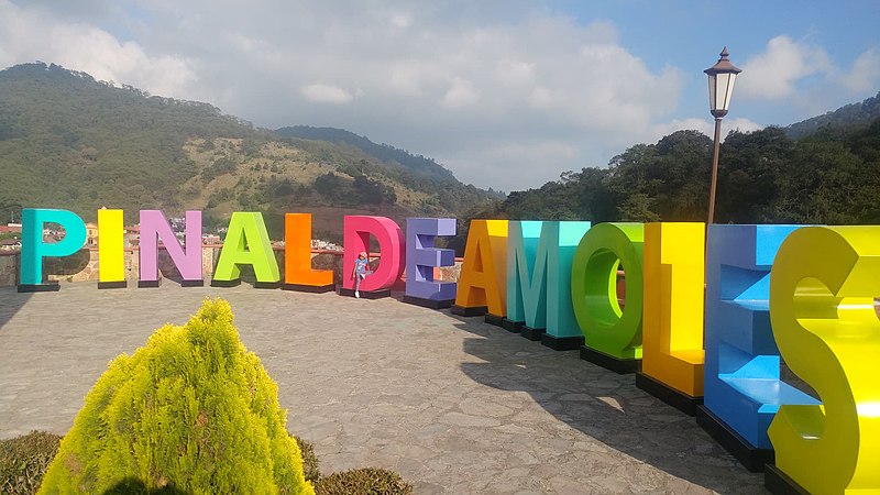 PresenciaUni's tweet image. Municipio de Pinal debe $20 mdp a extrabajadores: Ramírez Plaza

Guadalupe Ramírez, presidenta de #Pinal, afirmó que cuando inició su administración tenían 492 expedientes laborales y ya han logrado disminuirlos a 187 | #FinanzasPúblicas

➡presenciauniversitariauaq.com/municipio-de-p…