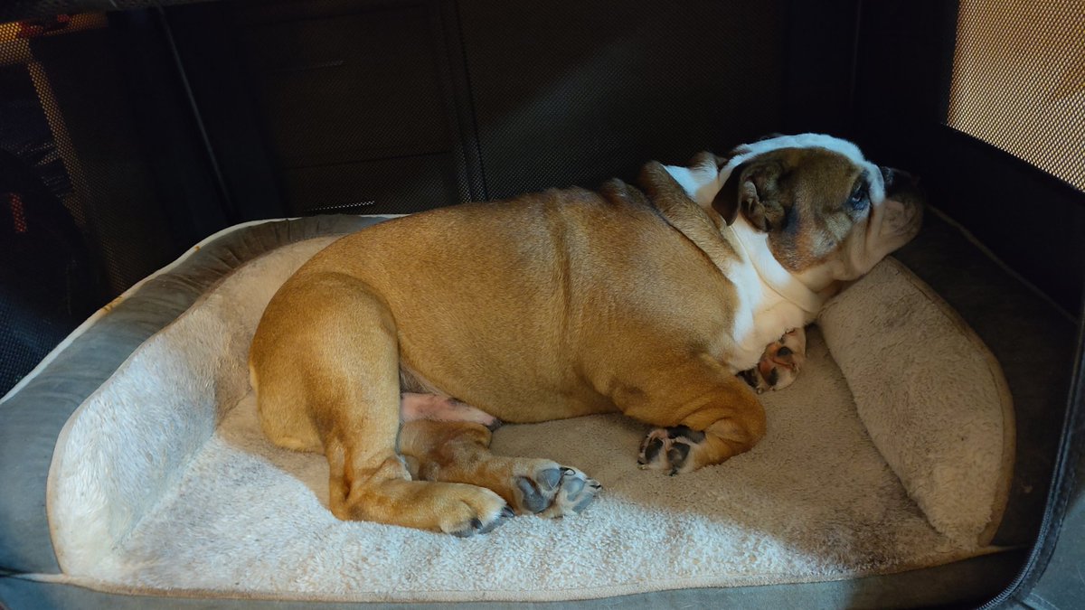 Nein heißt nein! 😡