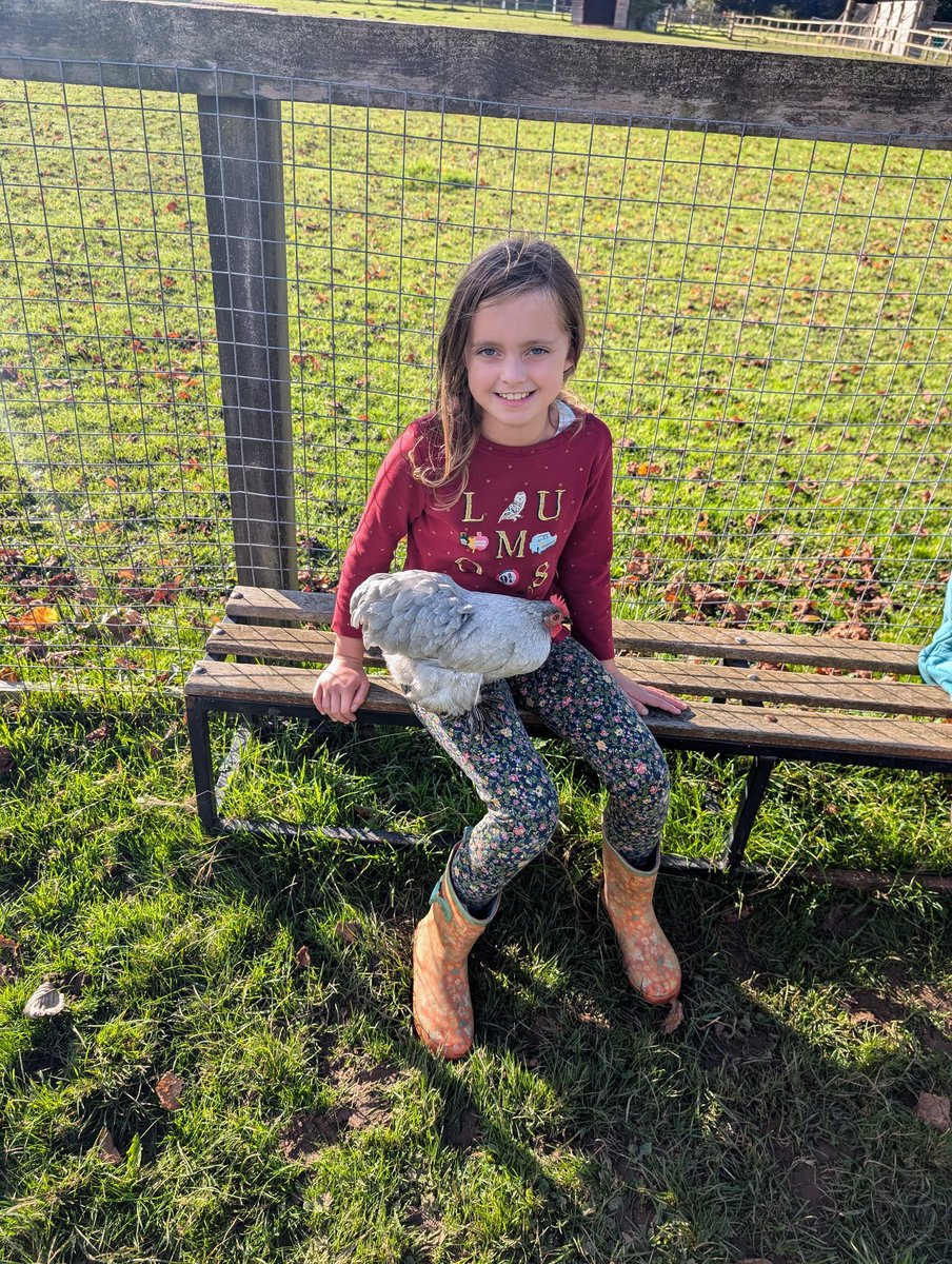 YH_SmallHolding's tweet image. A fantastic end to house day with a visit to the small holding for #YorkHouseY3 helping with jobs to care for the animals as well as having mindful moments with them in the sunshine! Wishing everyone a restful half term! @YorkHouseSch #smallholding