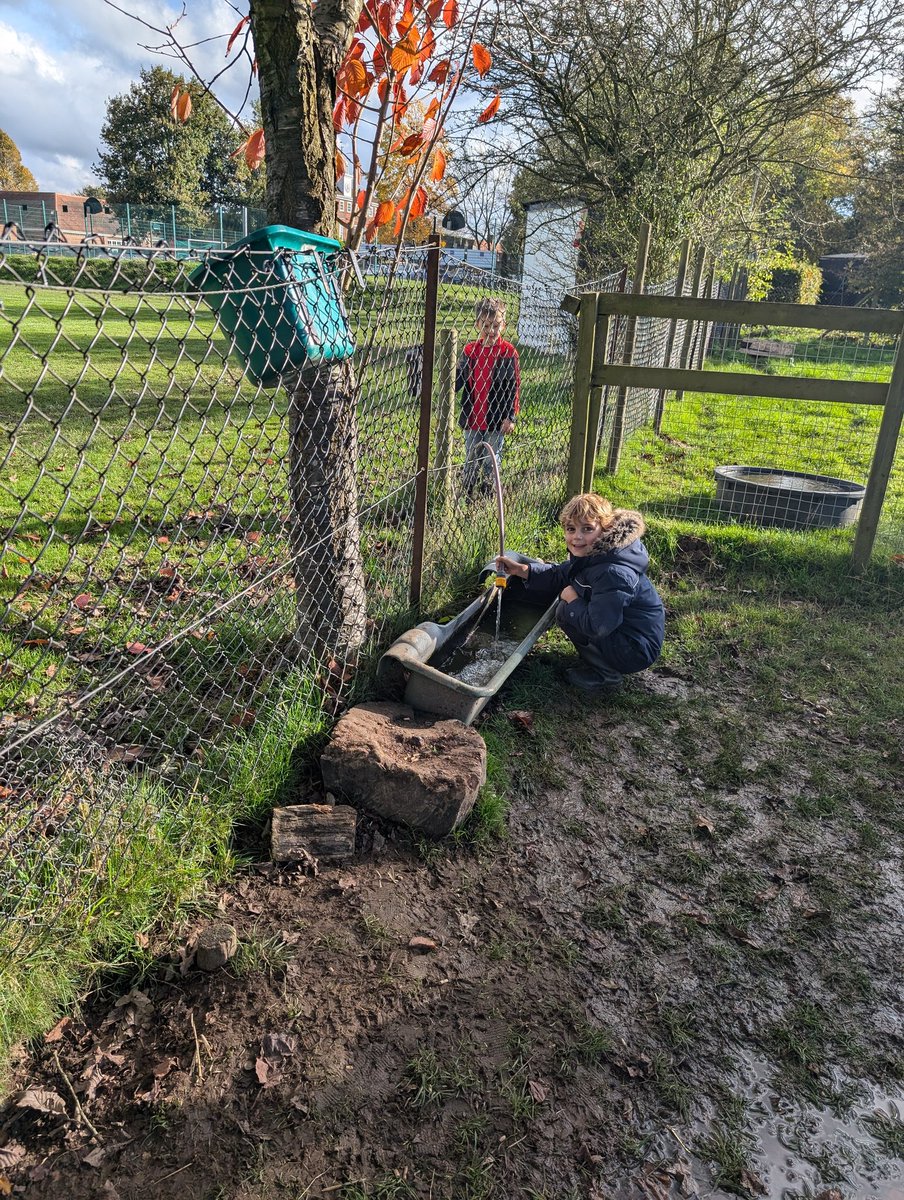 YH_SmallHolding's tweet image. A fantastic end to house day with a visit to the small holding for #YorkHouseY3 helping with jobs to care for the animals as well as having mindful moments with them in the sunshine! Wishing everyone a restful half term! @YorkHouseSch #smallholding