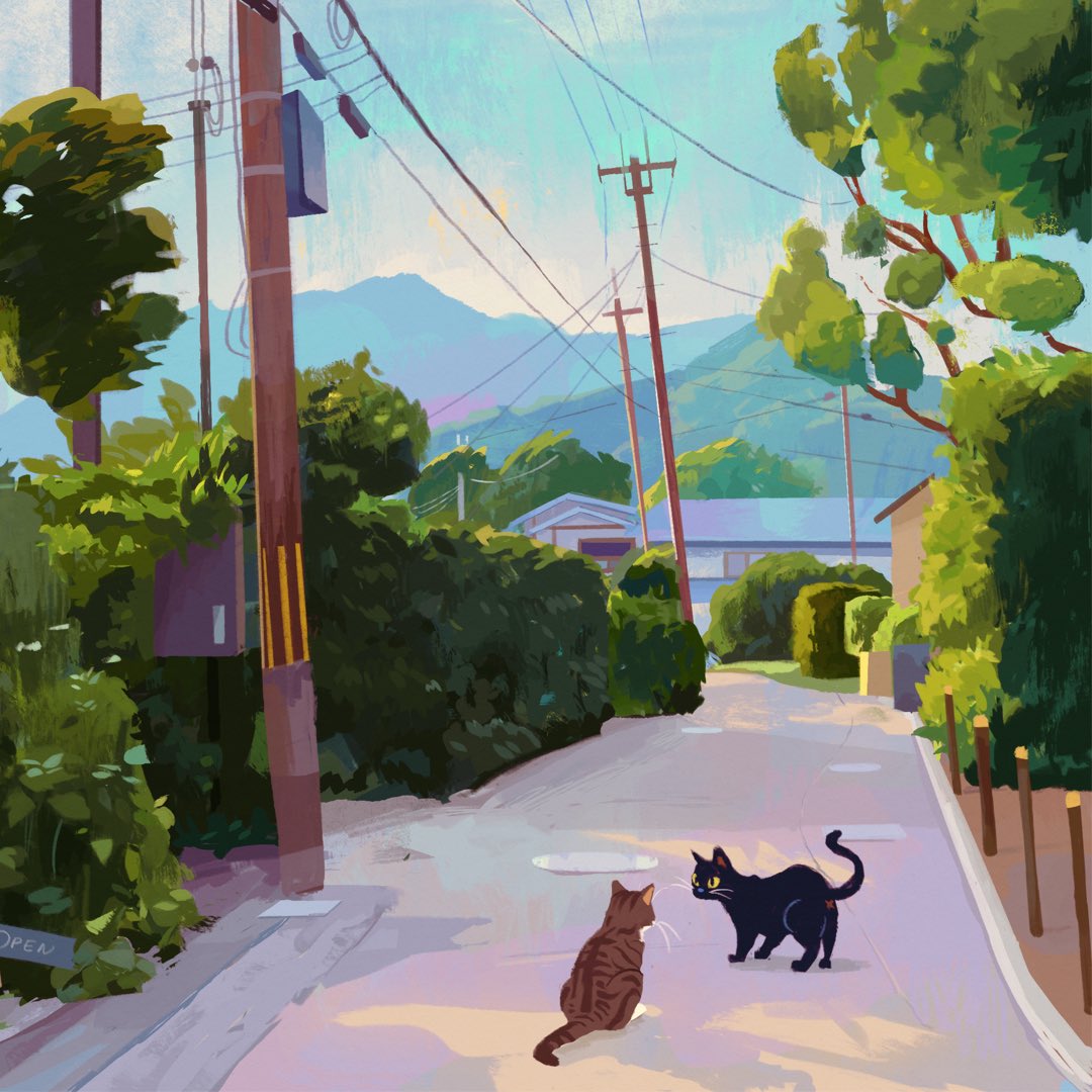 lindsey 🎀 tweet media