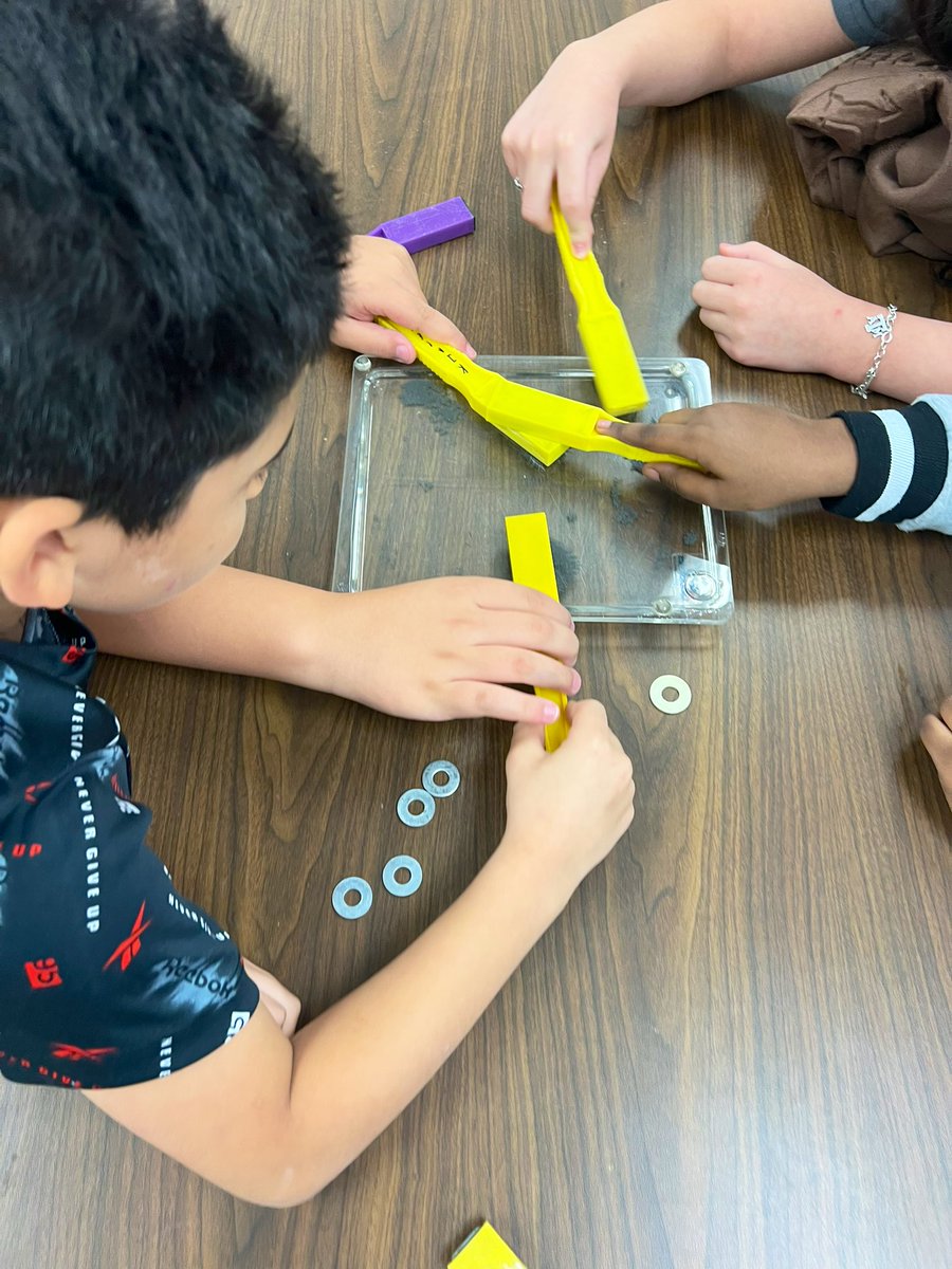 Madison Meszaros tweet media