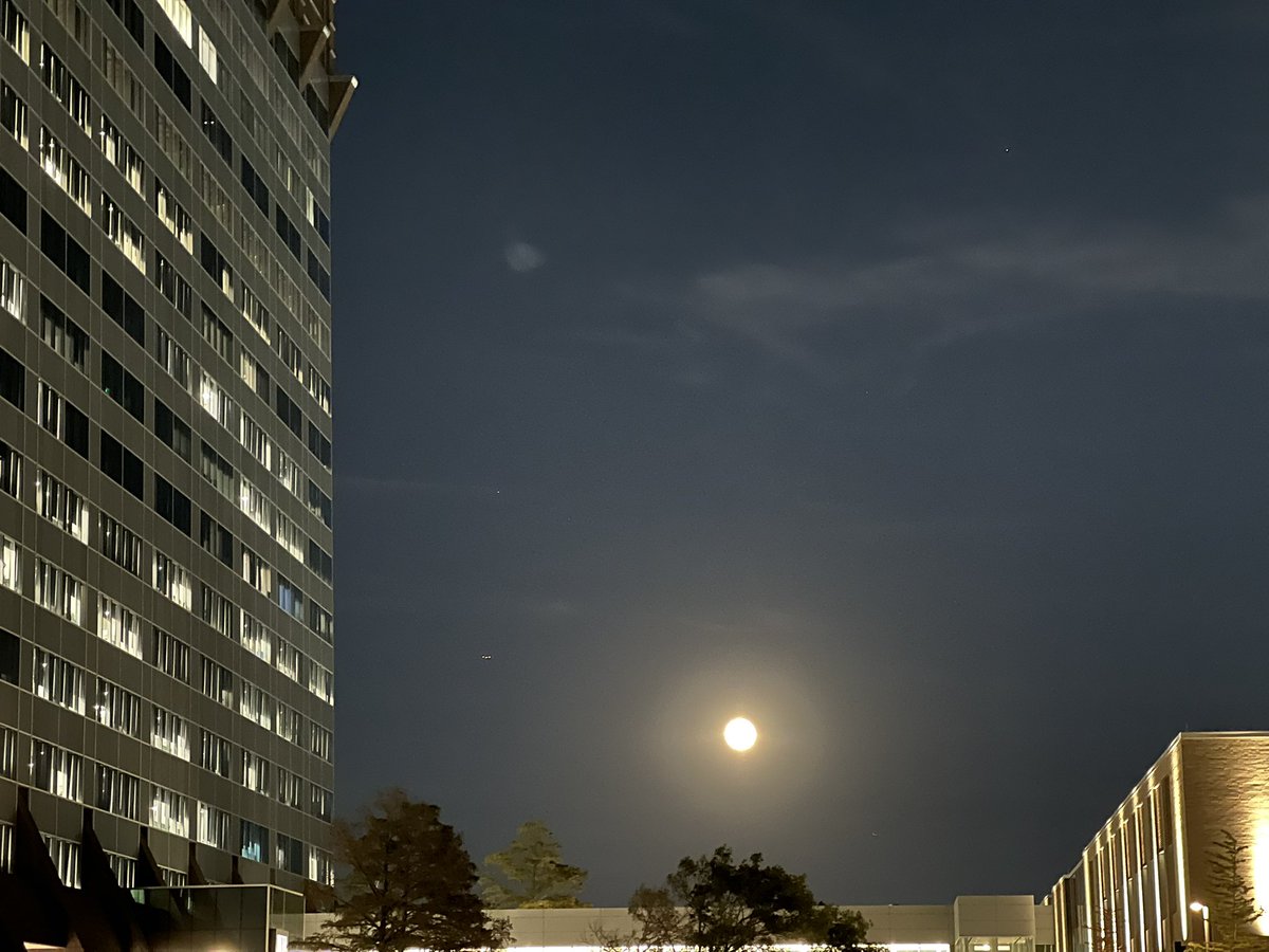 McFadden Lab (@mcfaddenlab) on Twitter photo Beautiful full moon rising over Pegasus Park last night! The group celebrated our physical move to <a href="/UTSW_RadOnc/">UTSW Radiation Oncology</a> lab space in the new Section of Molecular Medicine headed by Deepak Nijhawan. <a href="/CommunityBeerCo/">communitybeerco</a> <a href="/BioLabsNTX/">BioLabs Pegasus Park</a> Beautiful full moon rising over Pegasus Park last night! The group celebrated our physical move to <a href="/UTSW_RadOnc/">UTSW Radiation Oncology</a> lab space in the new Section of Molecular Medicine headed by Deepak Nijhawan. <a href="/CommunityBeerCo/">communitybeerco</a> <a href="/BioLabsNTX/">BioLabs Pegasus Park</a>