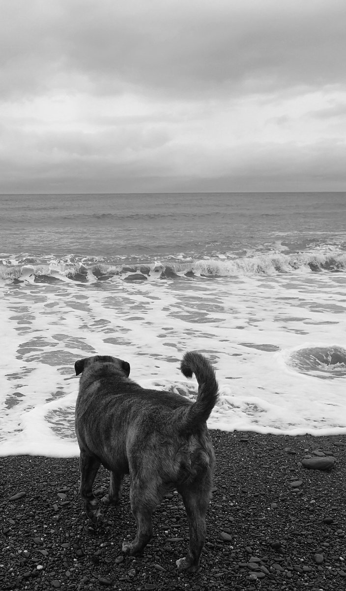 a23smile's tweet image. A week away from the chaos of work.... Two cottages, one week &amp;amp; our kids &amp;amp; their partners join us tmra ❤️ #justperfect