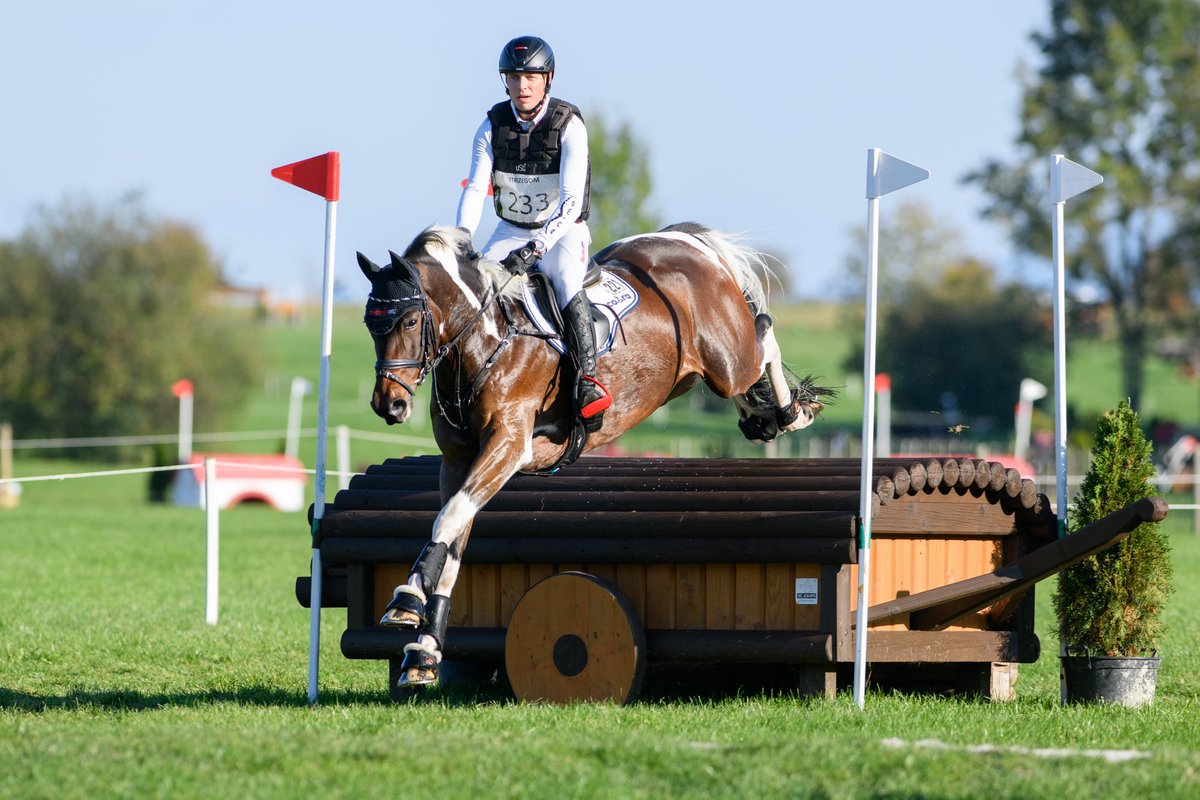 We loved seeing these images of our beautiful 6yo Gelding UCS DISCLOSURE by DIAMANT DE PLAISIR and Sven Lux competing at Strzegom last weekend. 🙌

We are so excited to see what the future holds for this talented young horse! 

#TeamHasenacher