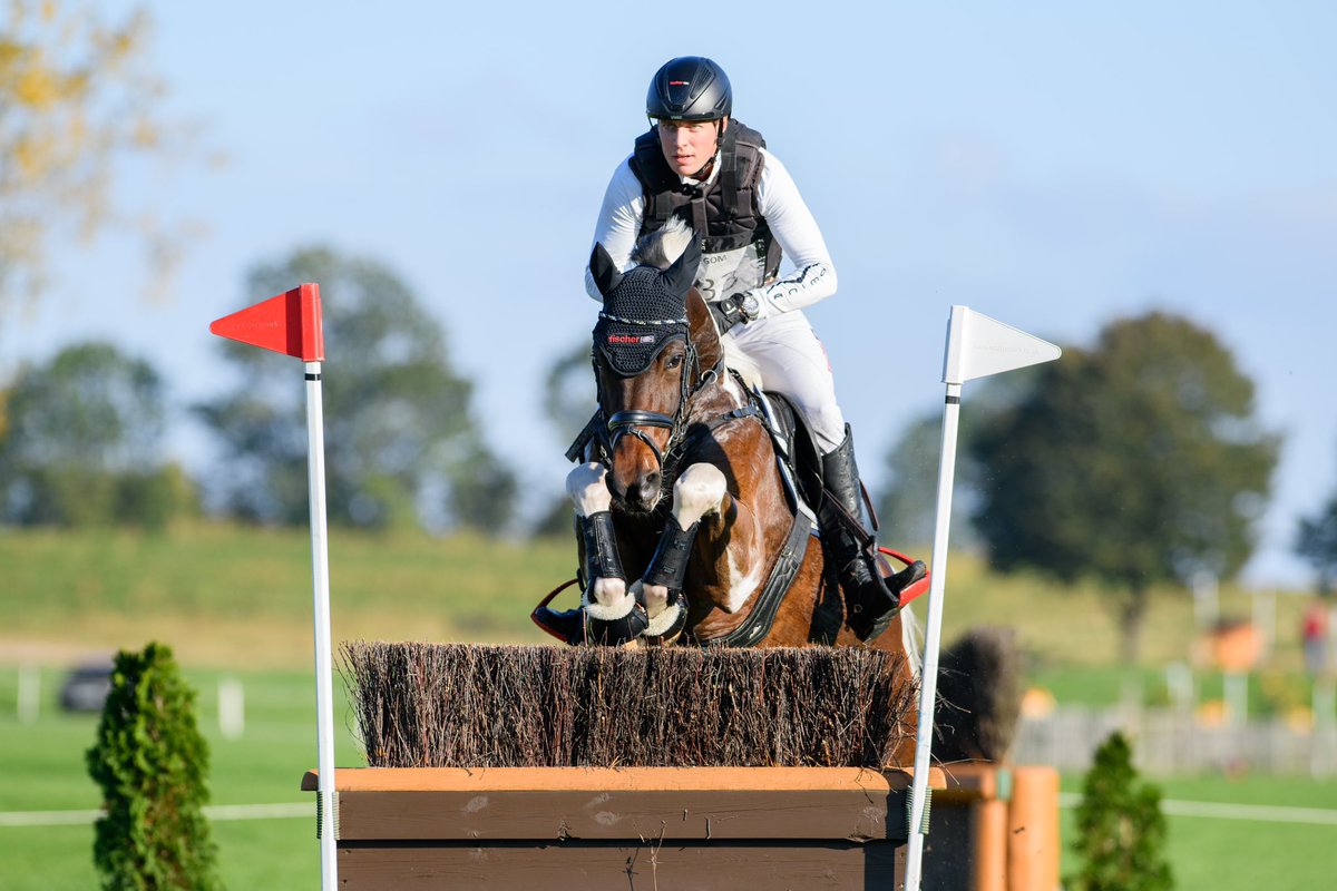Hasenacher_Stud's tweet photo. We loved seeing these images of our beautiful 6yo Gelding UCS DISCLOSURE by DIAMANT DE PLAISIR and Sven Lux competing at Strzegom last weekend. 🙌

We are so excited to see what the future holds for this talented young horse! 

#TeamHasenacher https://t.co/f26M9ZT5sz