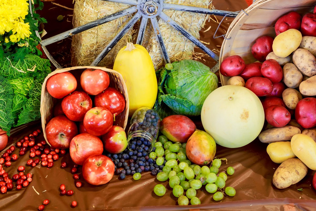 October may be a month that we associate with candy, but it's also a great time to explore the seasonal produce Indiana has to offer! Check out the USDA website to find recipes that suit all lifestyles, plus learn how to apply for SNAP in your area.
snaped.fns.usda.gov/resources/nutr…