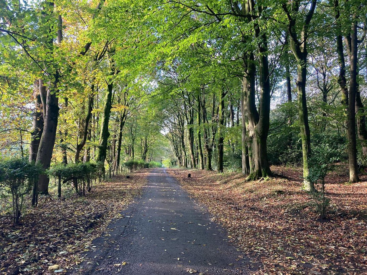 The drive to site always looks so beautiful this time of year :)