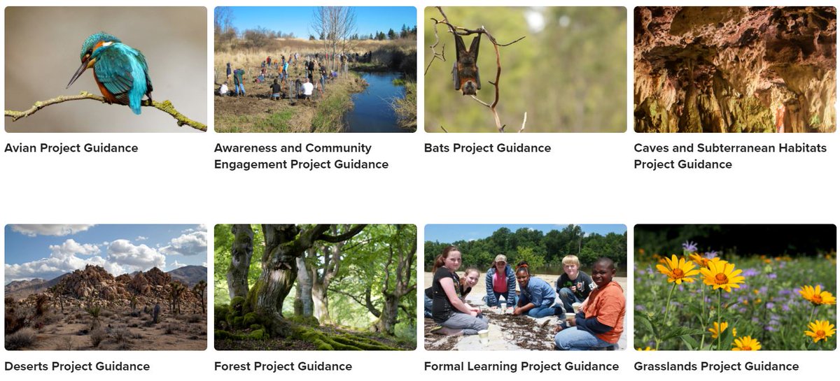 Tandem Global (formerly WHC and WEC) (@tandemglobalorg) on Twitter photo Want to create your own award-winning #CorporateConservation project? Spanning a variety of habitats and species types, our project guidances can help you get started: wildlifehc.org/resources/proj… Want to create your own award-winning #CorporateConservation project? Spanning a variety of habitats and species types, our project guidances can help you get started: wildlifehc.org/resources/proj…