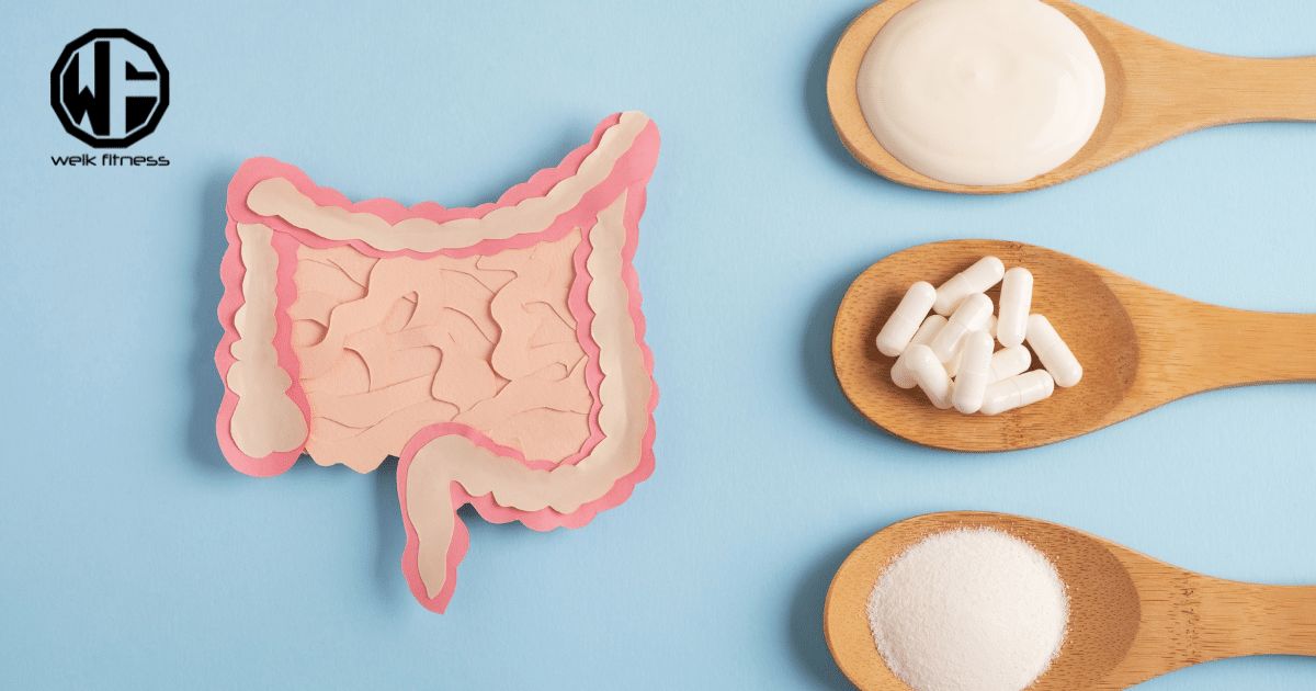 weikfitness's tweet image. LactoSpore could be the probiotic supplement you've been looking for... Our article explains all the many reasons why!
.
#lactospore #sabinsacorporation #probiotic #probiotics #guthealth #supplement weikfitness.com/lactospore-pro…