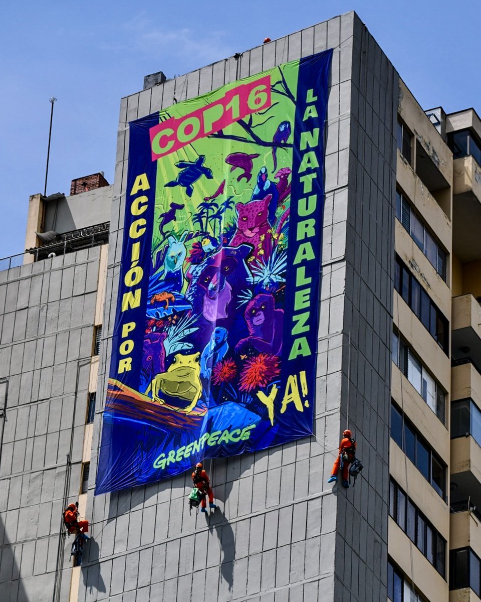 Greenpeace Colombia tweet media