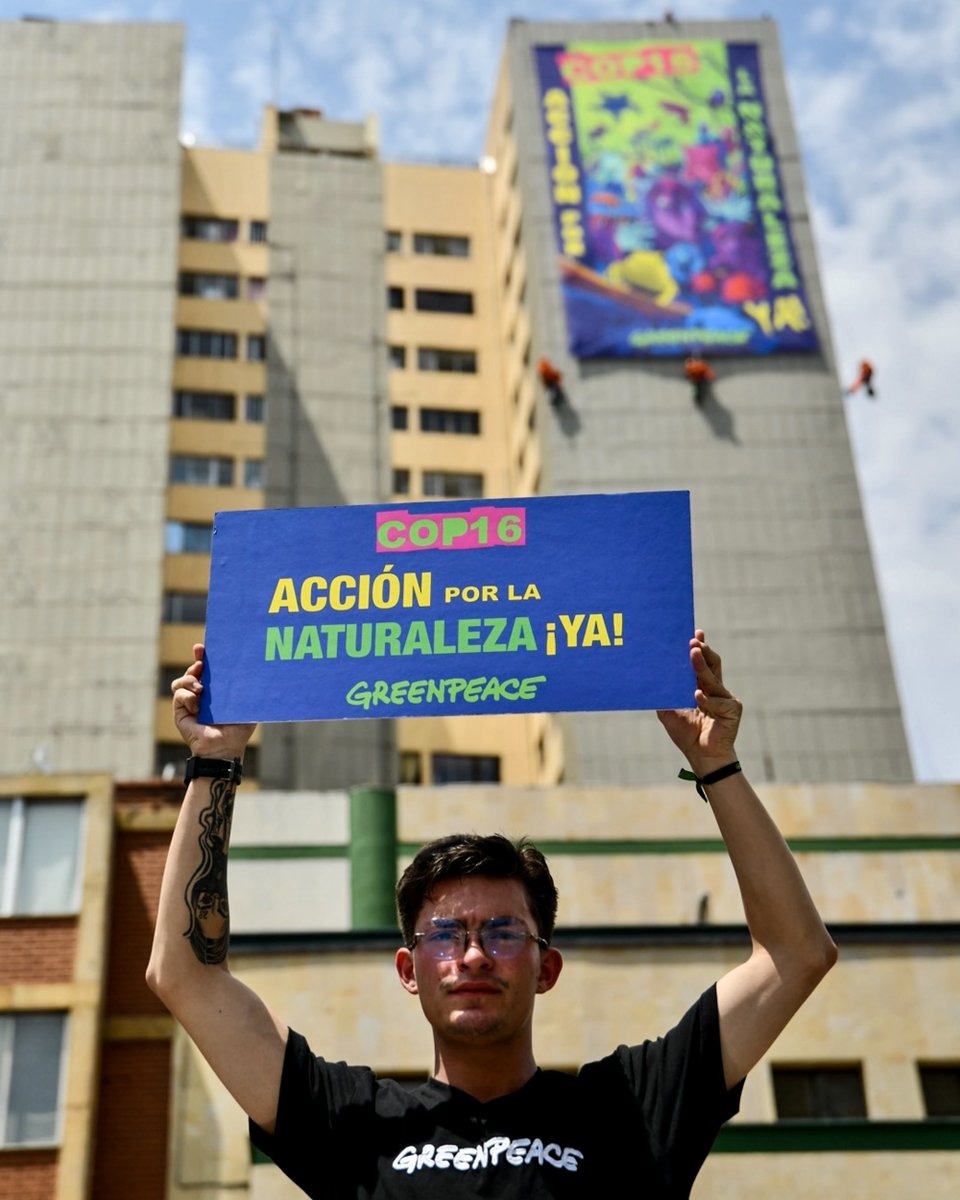 Greenpeace Colombia tweet media