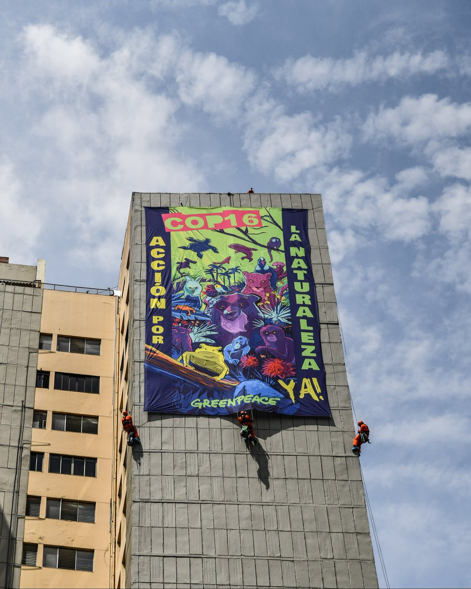 Greenpeace Colombia tweet media