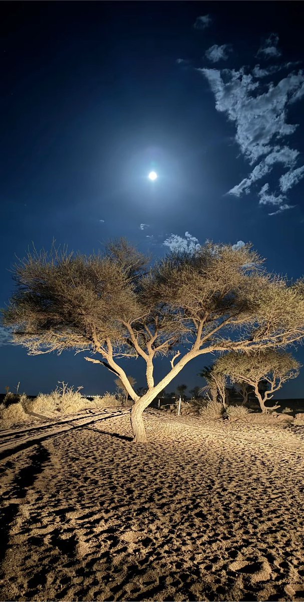 راكان . tweet media