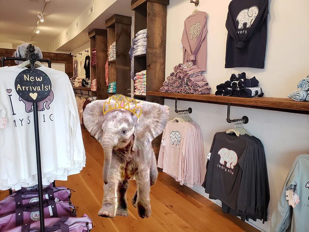 Corra_Cto's tweet photo. $CORRA found a place that supports her kind, check out Ivory Ella! https://t.co/xRaOUw37xf