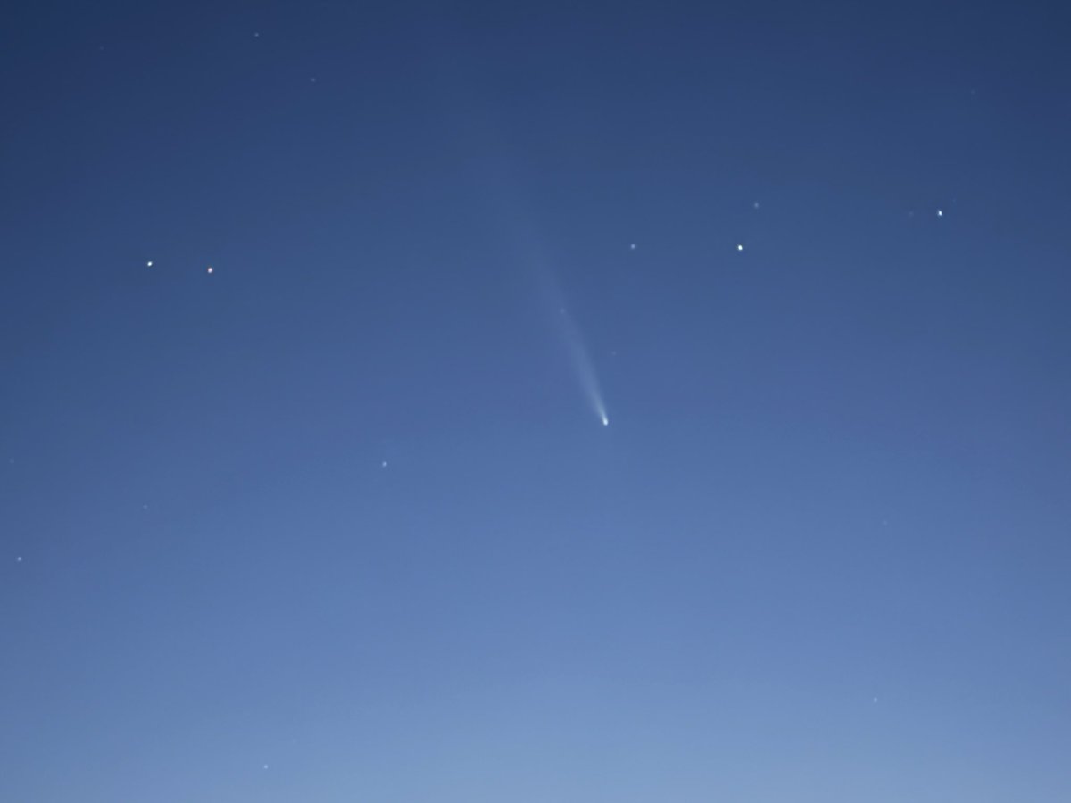 Ray O 'Farrell tweet media