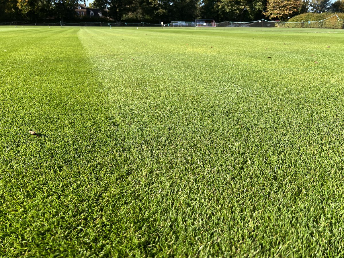 Looks like it’s been a day for trimming renovated cricket squares… here’s <a href="/CopdockOlCC/">Copdock & Old Ipswichian Cricket Club</a> : 3rd cut after seeding … bonkers growth! Gentle verticut not far away now, vertidraining booked and a top-up feed today too. <a href="/ParkersPitches/">Parkers Pitches Ltd</a> <a href="/ICL_Turf/">ICL Growing Solutions - Turf & Landscape 🇬🇧🇮🇪</a> <a href="/BarenbrugUK/">Barenbrug UK</a> <a href="/AllettMowers/">Allett Mowers</a>