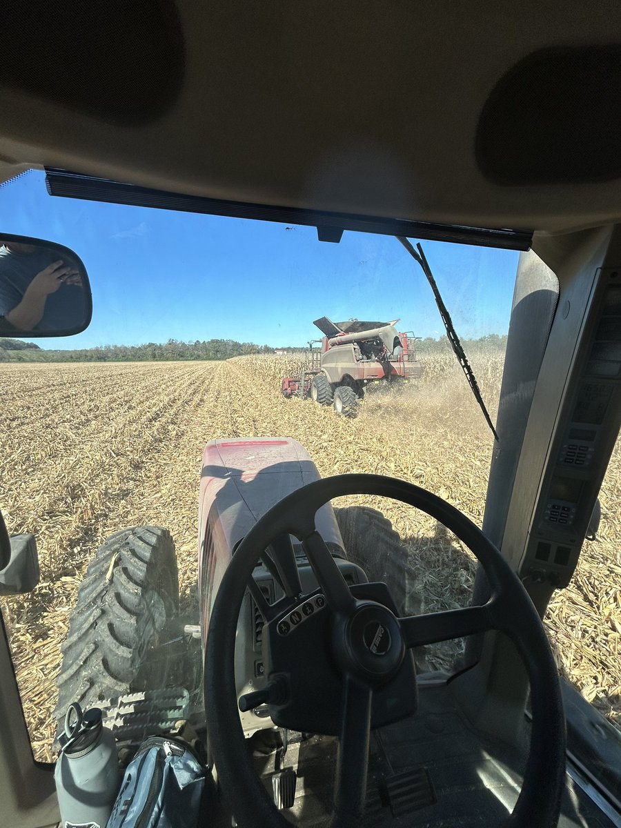 G16Q82 is rocking in Eastern MO

<a href="/GldnHarvest/">Golden Harvest Seeds</a>