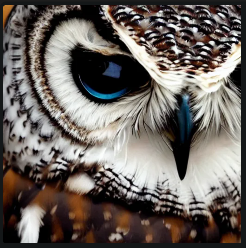 bvmuseum's tweet photo. Who, who, who's coming to Owl-o-ween??  Owl-O-Ween, TODAY, Friday, Oct 13, 5:30 - 8 m. See you there!
https://t.co/mW5ZeIfMNV https://t.co/5tRiMcduZg