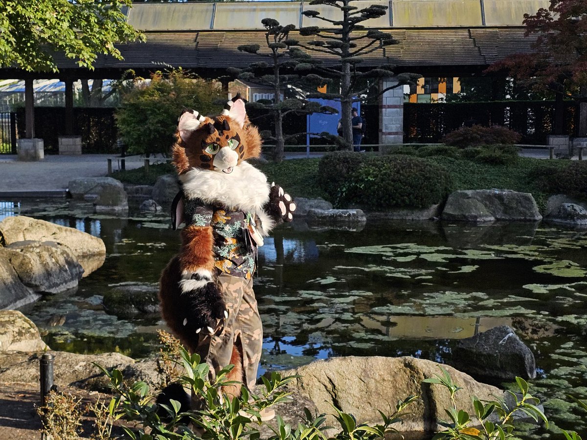Balese8's tweet photo. Hey, do you think there's frogs in here? 🐸 

#FursuitFriday #ef28 https://t.co/gdL3uzewSH