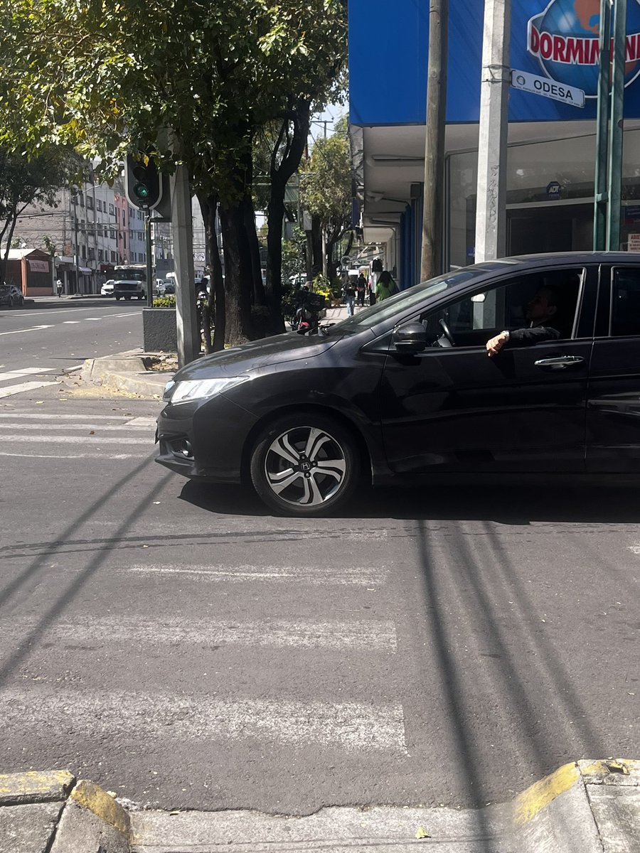 Anavi Taché tweet media