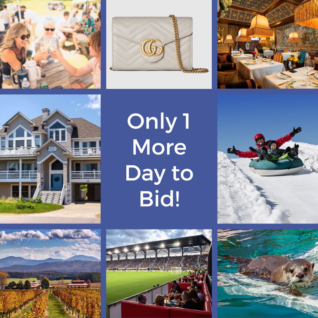 Don't miss out on our biggest auction ever! We have an incredible lineup of items, including exclusive fine-dining experiences, amazing getaways, and more! The auction will close tomorrow at 10:30 pm EST. Check out the link below to place your bids now!

one.bidpal.net/afc2024/browse…