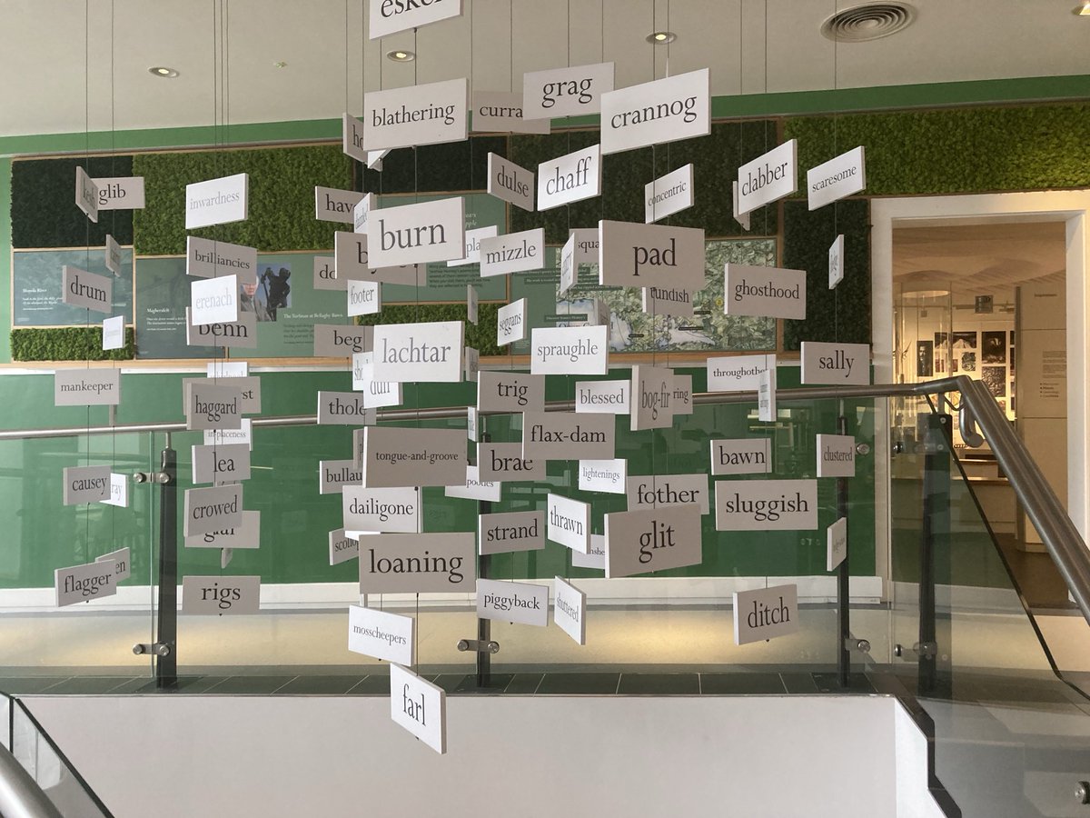 diane mcclelland tweet media