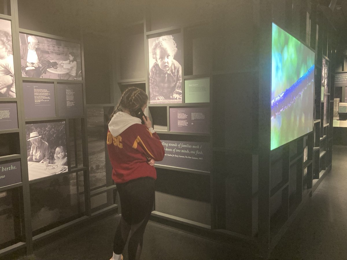 diane mcclelland tweet media