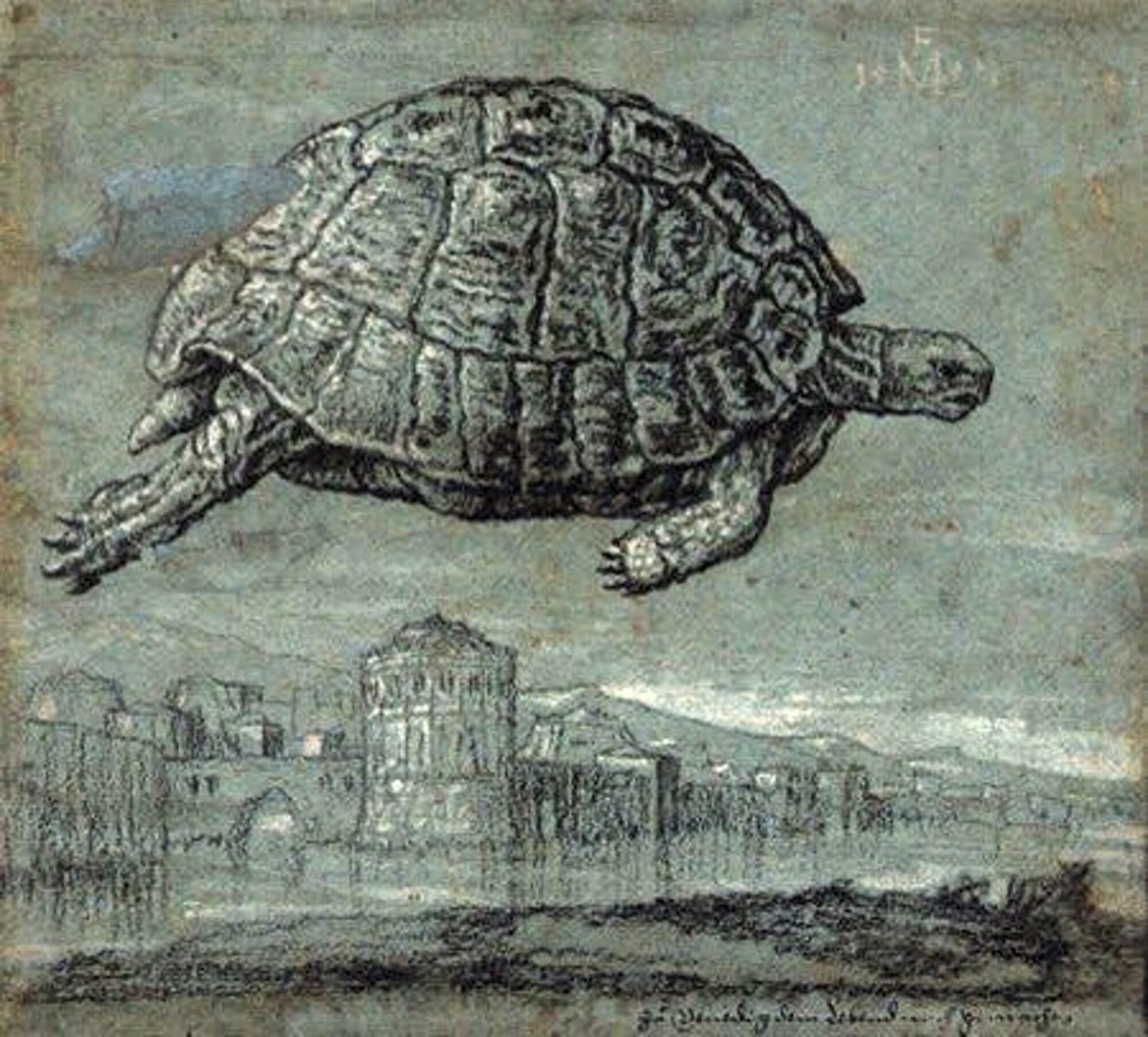 A surreal drawing of a tortoise flying above a Venetian cityscape, created by Melchior Lorck in 1555. https://t.co/IKve1RkMzI