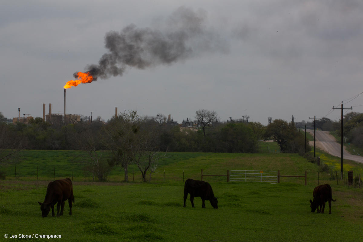 greenpeacemx's tweet image. El gas metano, principal componente del gas natural, es hasta 80 veces más potente que el CO2 en atrapar calor en la atmósfera. 😱🌍
Además, su extracción se hace a través del #fracking, un proceso que daña el suelo y contamina el agua. 🚫💧 #NoAlFracking