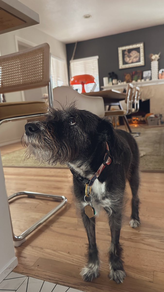 GrimmGreen tweet media