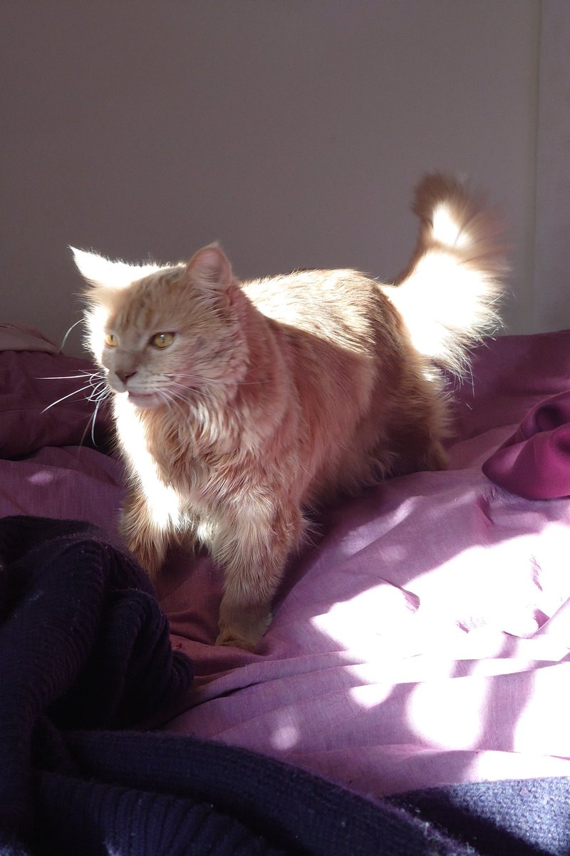 Tom Proctor @tomproctor.bsky.social tweet media