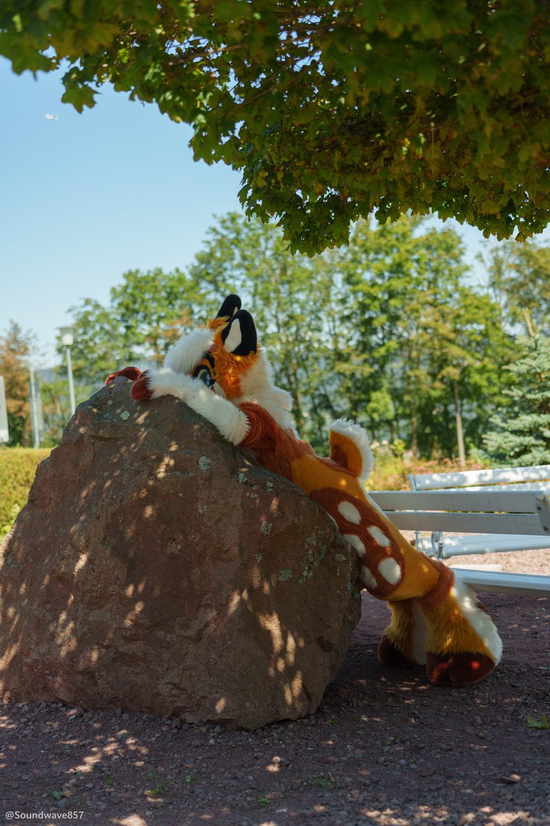 Am flat today, and am glad it's finally the weekend! Can't wait to chill with friends the next days! 🦌🦆

Another great shot by <a href="/Soundwave857/">Soundwave 📸</a>!📸
#FursuitFriday #FursuitEveryday