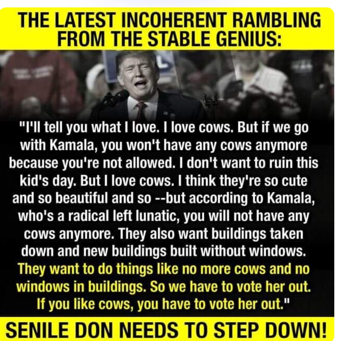 WTH?? 🤦‍♀️ Do we really want THIS representing America! People traveling the world over are hearing “What the hell is going on in America?”