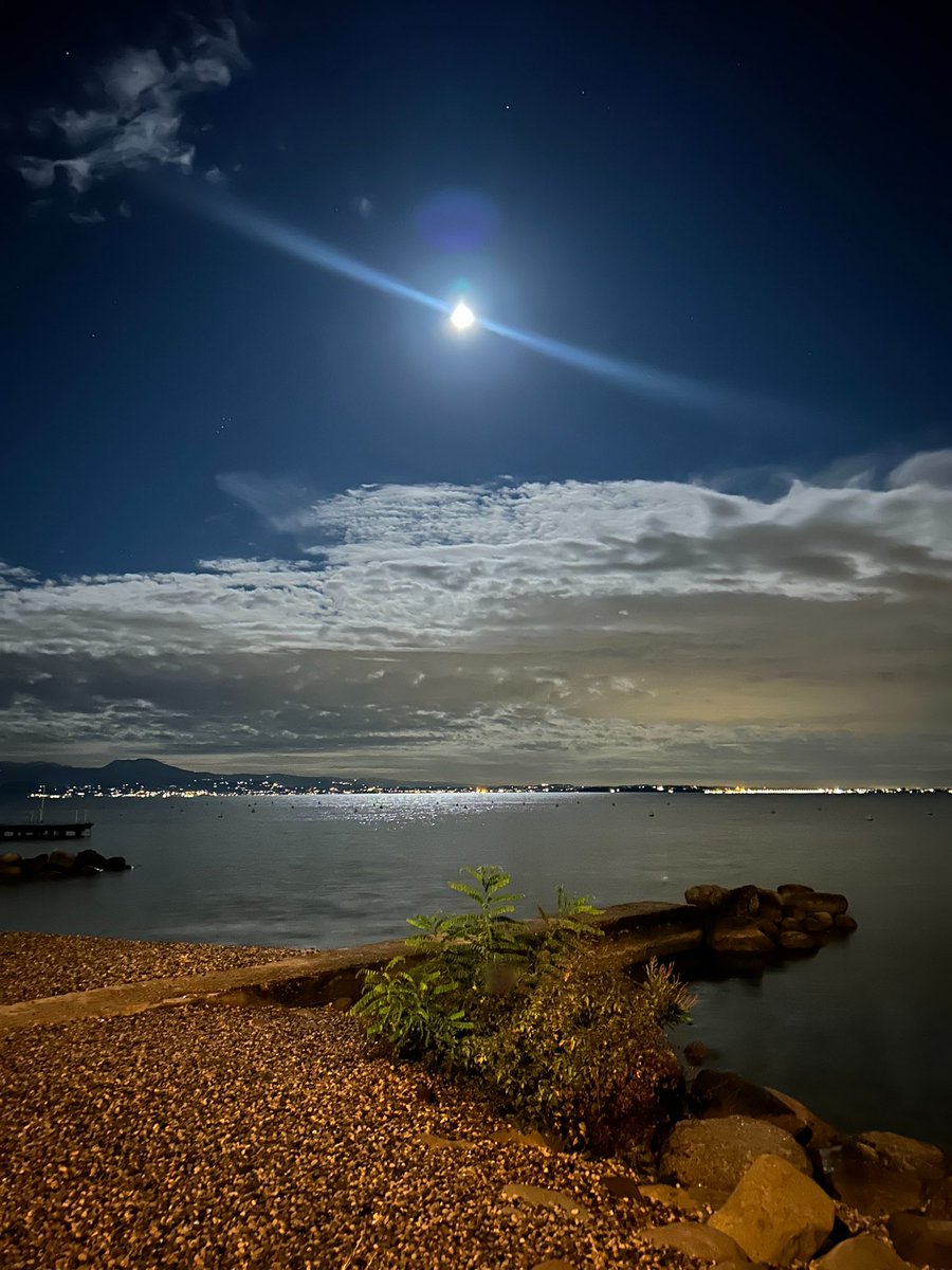 StrengthEwa tweet media