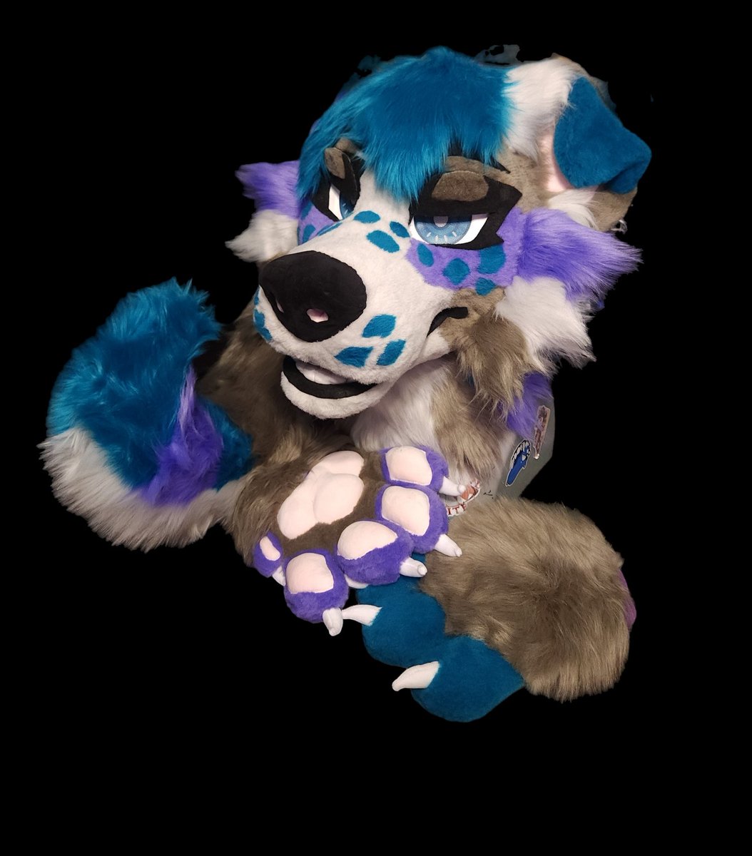 DurpyYeen's tweet photo. Going through an extreamly hard time and I really need to get this pup to a good home!! Bringing down to 3000🇨🇦 (3500 original)
Help an owl out 💙 
Magnetic hair, velcro eyelids and tongue and a pickable nose with puffy paws. Head and oaes lined. Comes with full reff sheet too! https://t.co/yPXeNCwbfk