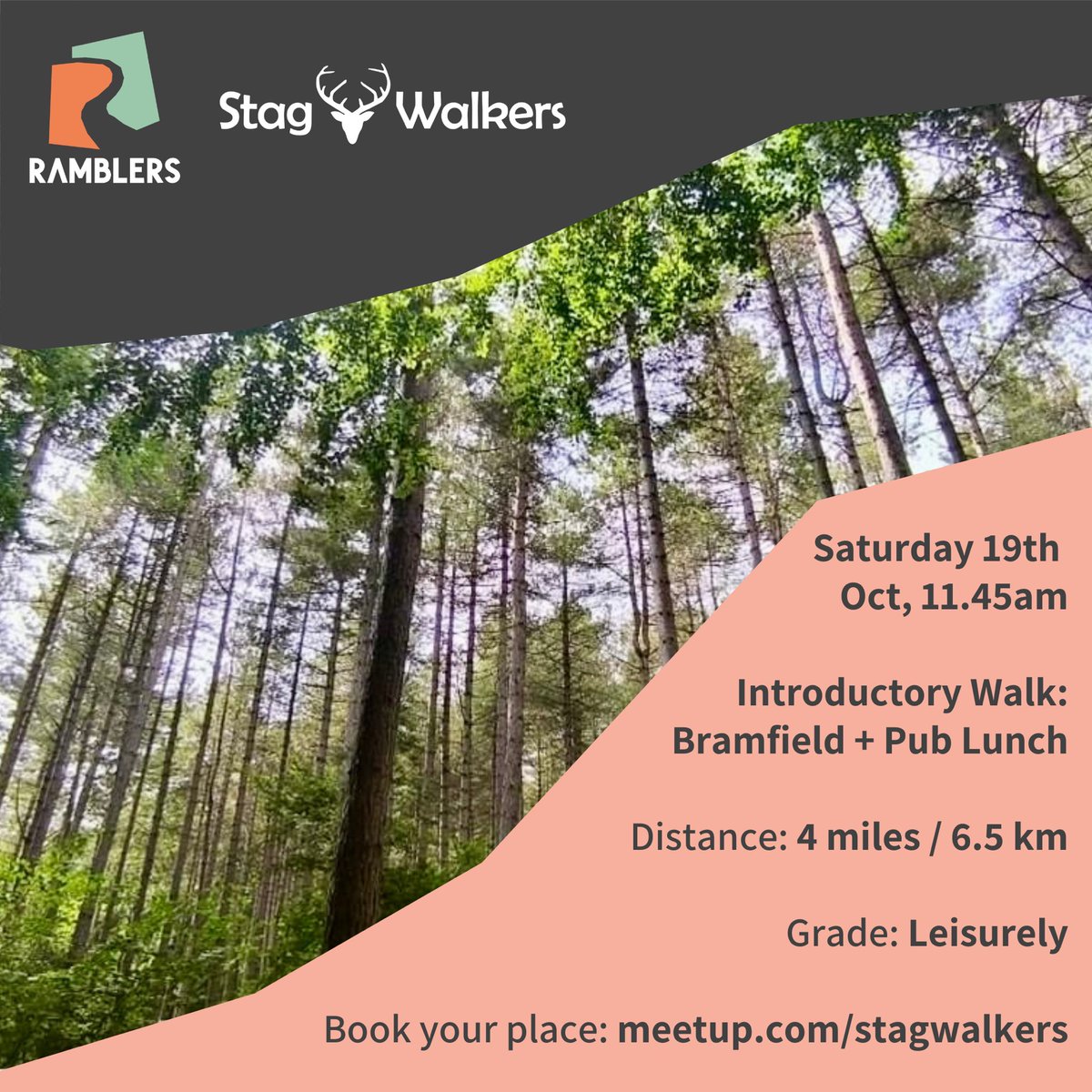 Stag Walkers (@stagwalkers) on Twitter photo 